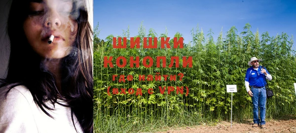 сатива Баксан