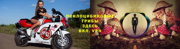 гидропоника Балахна