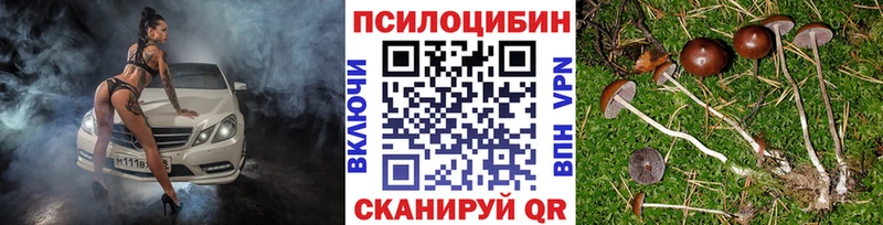 Псилоцибиновые грибы мухоморы Белый